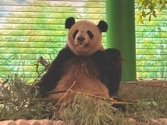 -灵玲国际马戏城