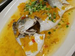 -越百海海鲜蒸锅(乐山店)
