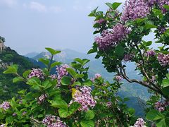 -泰山风景名胜区