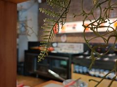 -焯牛潮汕牛肉火锅(云峰街创始店)