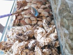 -港畔赶海蒸汽海鲜烧烤自助(仙螺岛店)