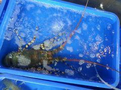 -幸福姐海鲜大排档