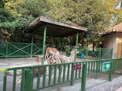 -杭州野生动物世界