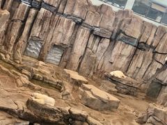 -西安曲江海洋极地公园