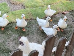 -HERRE·FARM 赫尔露营农场·团建聚会包场