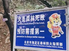 -北京鹫峰国家森林公园