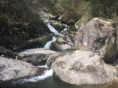 -东天目山风景区