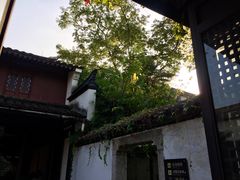 -绍兴鲁迅故里·沈园景区