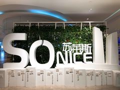 -国际青年会议酒店-苏莱斯餐厅