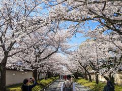 -醍醐寺