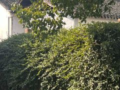 -丝绸小镇荻港古村