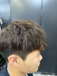-藤野造型