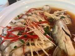 -WILDS 野有食(碧坞店)