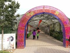 -草根堂农场