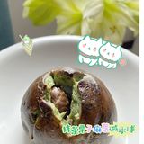 日常恰面包之【我们的面包店】