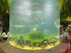 -海合安成都极地海洋公园