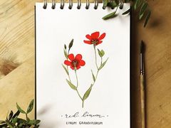 -八哥美术·成人美术画室(总校区)