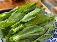 -鸡足缘·海稍鱼•野生菌火锅