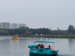 -大兴滨河森林公园