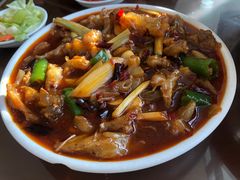 红烧蹄筋-野狗羊肉汤