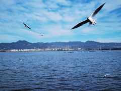 -海埂大坝