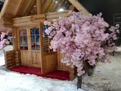 -宁波冰雪大世界(北仑区)