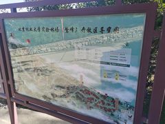-北京鹫峰国家森林公园