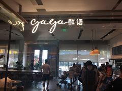 -gaga(深圳南山益田假日广场店)