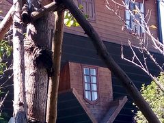 -金山农民画村-枫泾波兰倒置屋