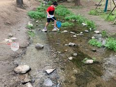 -白水寺森林公园