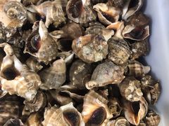 -宾朋海鲜特色美食餐厅·纯手工鲅鱼水饺(兴海路店)