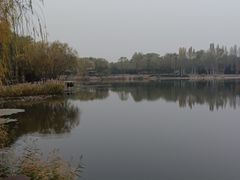 -北坞公园