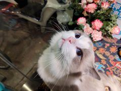 -花间小酌火锅小酒馆(吕四店)