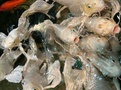 -太平洋海底世界