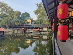 -侨美·唐荔园·40年地道粤菜