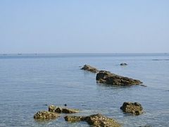 -养马岛旅游度假区