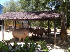 -西安秦岭野生动物园