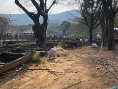 -无锡动物园·太湖欢乐园