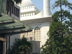 -九龙公园