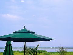 -七的湖·晚芳亭·阳澄湖农家菜·大闸蟹(莲花岛店)
