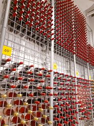 -kidsland(上海环球港店)