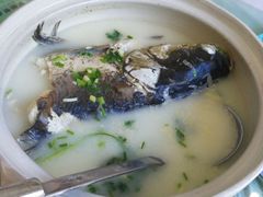 -天乐农家鱼头王(天目湖店)