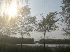 -大兴滨河森林公园