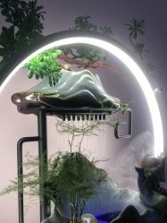 -苗塑堂减肥艾灸