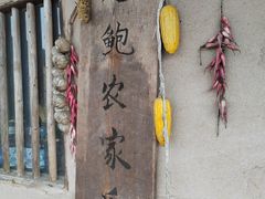 -老鲍农家乐