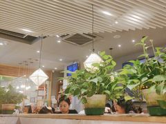 -云海肴·汽锅鸡·云南菜(广安门天虹店)