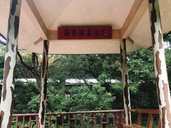 -广州兰圃