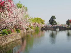 -无锡蠡湖国家湿地公园-蠡园
