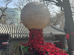 -白家大院·王府宫廷菜(苏州街店)