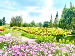 -花开海上生态园